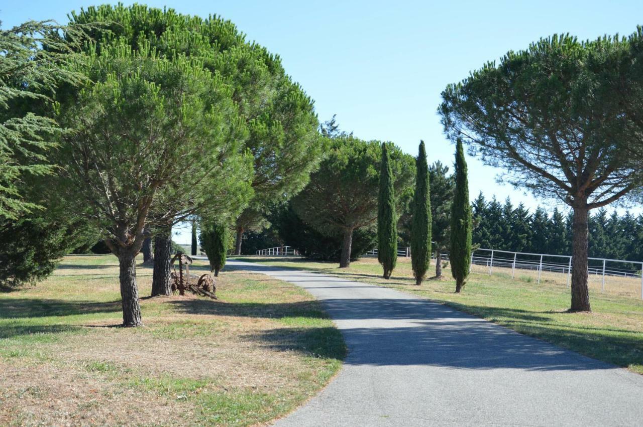Les Rouges Gorges Du Domaine Du Moulin 14 Villa Etables  Dış mekan fotoğraf